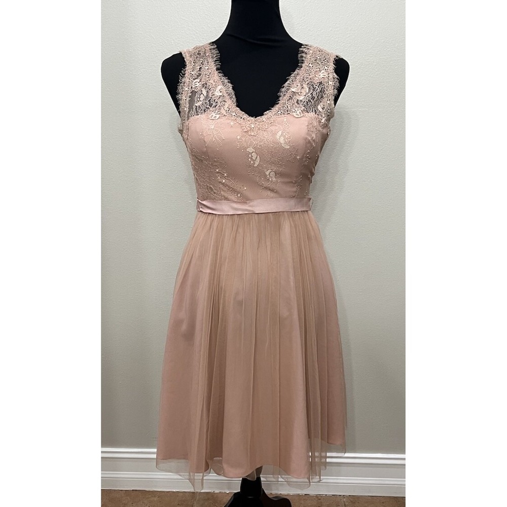 Hitherto Anthropologie Pink Lace Tulle Fit Flare Cocktail Dress Size 2 Blush